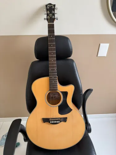 Violão tagima TW 29