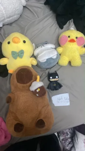Lote pelúcias