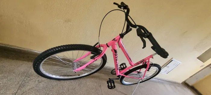 Bicicleta Wendy (Rosa)