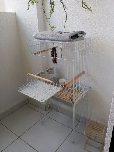 Gaiola pra aves