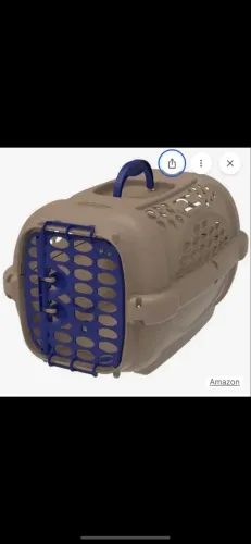 Caixa para transportar pet