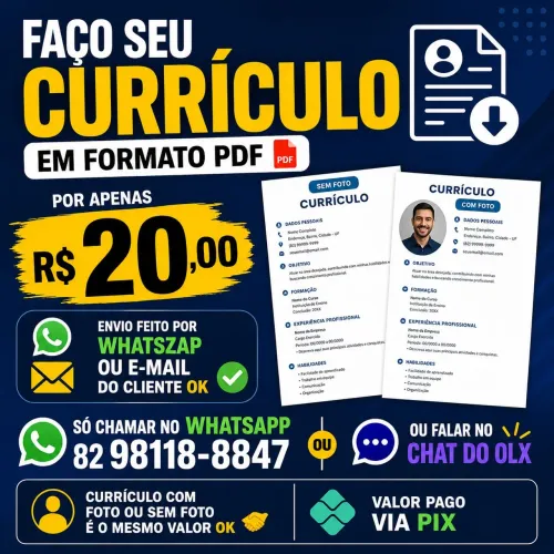 FAÇA SEU CURRÍCULO COMIGO POR APENAS 20 REAIS EM FORMATO PDF SÓ CHAMAR NO WHATSAPP OU CHAT