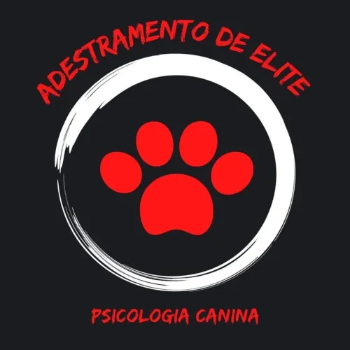 Adestramento Canino
