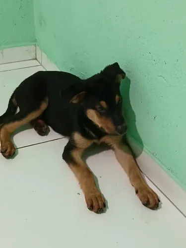 Vende-se