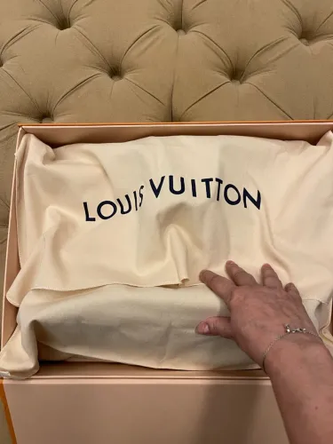 Bolsa louis Vuitton original sem detalhes