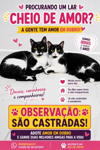 Adoção de Duas Gatas Irmãs "CASTRADAS "".