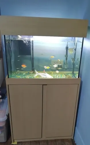 Aquario 100lts com movel