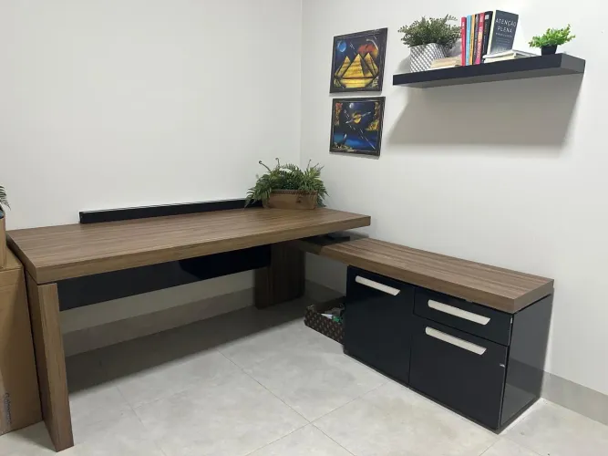 Mesa Diretor