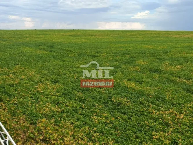 Fazenda em Novo Acordo-TO. 85 Alqueires