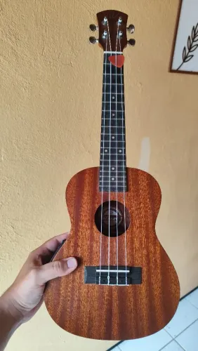 Ukulele Winner Concert