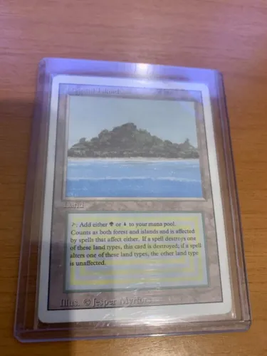 Magic the gathering - Tropical Island Revised - 1x SP
