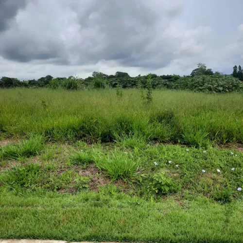 LINDO TERRENO A VENDA NO RESIDENCE MONTANA NA CIDADE DE MONTE MOR
