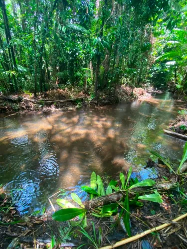 Terreno com Rio em Morros