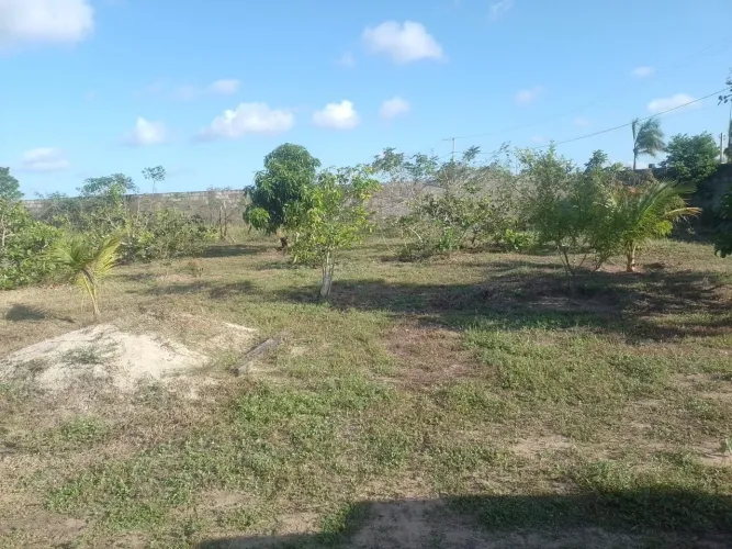 Chácara/granja em São José do mipibu meio hequitare  