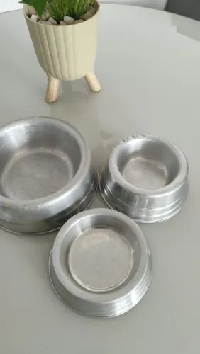 Bebedouro de cachorro 