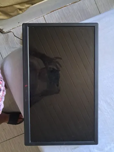 Monitor para computador 20 polegadas