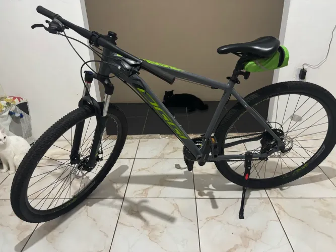 Bicicleta Oggi