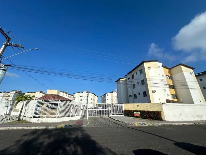 Alamedas do norte [3241]