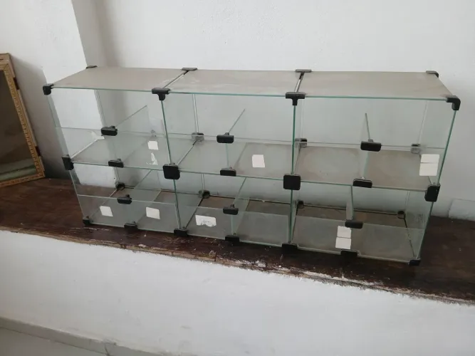 Baleiro
