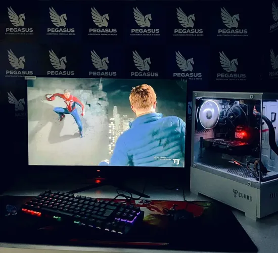 Pc gamer