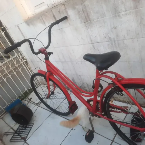 Bicicleta vermelha no preço