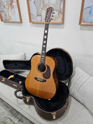 Violão Giannini AWGS 300 1979 - Leia o Anúncio