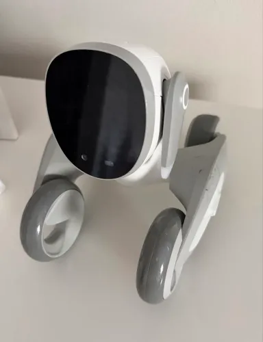 Robo Pet Loona Smart Robot