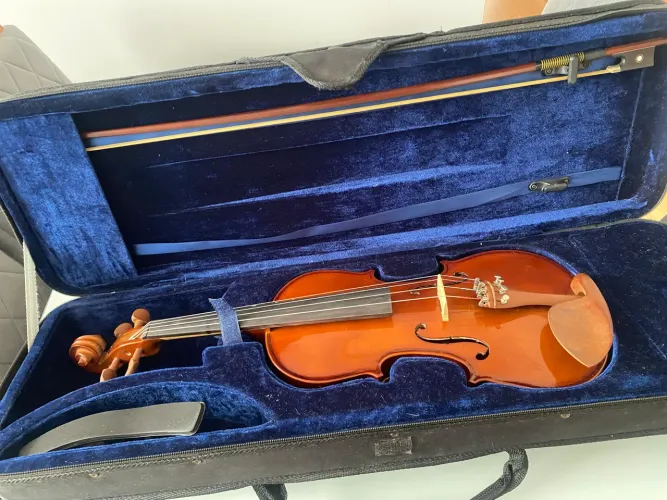 Violino Eagle VE441 4/4 Completo - Excelente Estado