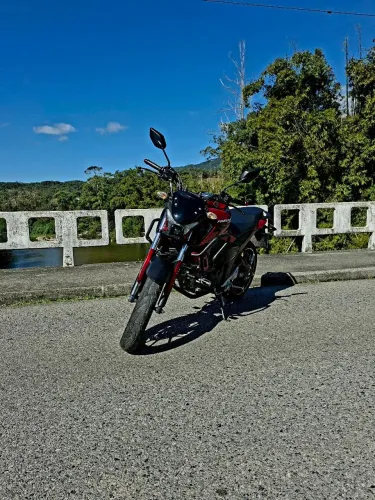 Fz15 2024