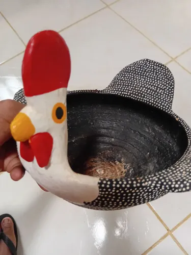 Galinha porta ovos
