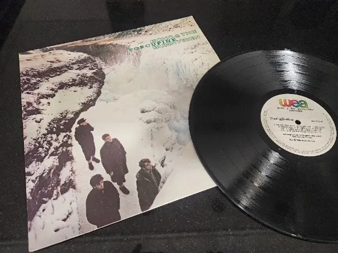 LP disco de vinil Echo & the Bunnymen - Porcupine (1983)