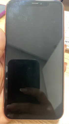 iPhone XR 