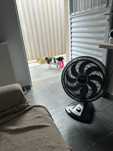 Ventilador Turbo