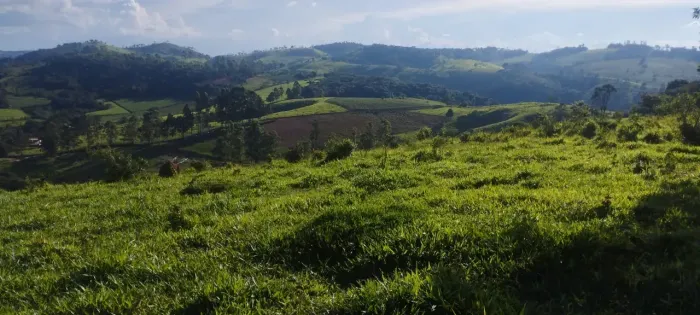 Terreno em Crucilândia / MG, 97 mil metros com mina e nascente todo formado