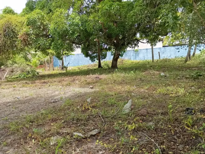 Vendo ou Alugo Terreno com 2000 m², Centro, Dias D'Ávila - BA