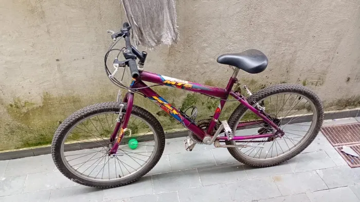 bike aro 24