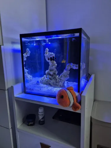 Aquário de 27L