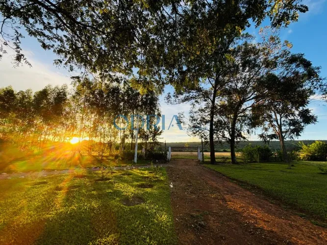 Fazenda na Chapada dos Veadeiros - Potencial Turístico e Produtivo - 11 Km de Alto Paraíso