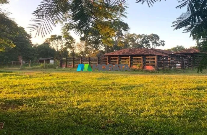 FAZENDA À VENDA - 200 HECTARES - FELIXLÂNDIA (MG)