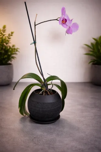 Vaso para plantas impresso em 3D