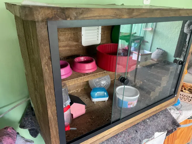 Terrário para Roedores