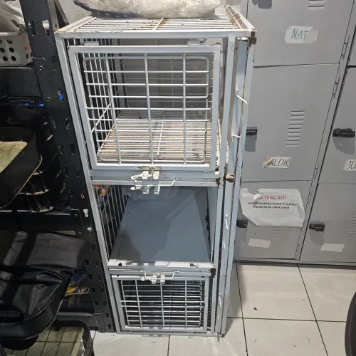 Gaiola para espera de cães em pet shop