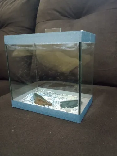 Aquário de Vidro Completo - Ideal para Betta ou Peixes Pequenos