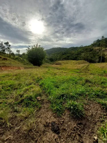 ?VENDE-SE TERRENO EM RIO DUNA -LARANJAL ?