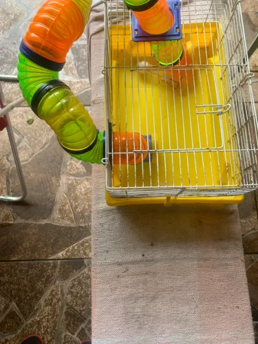 Gaiola de Hamster