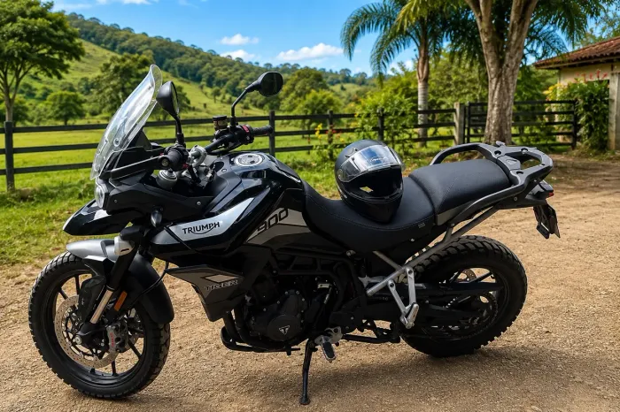 Tiger 900 gt pro
