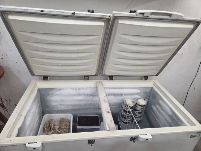 Freezer tampa cega