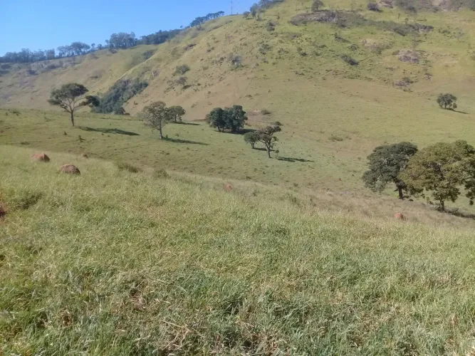 Fazenda 205,50 hectares. Toda formada . Tem curral em concreto e fio de aço brete balança