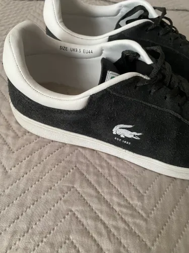 Sapato camurça Lacoste original