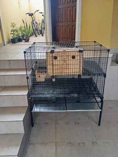 Gaiola para coelhos